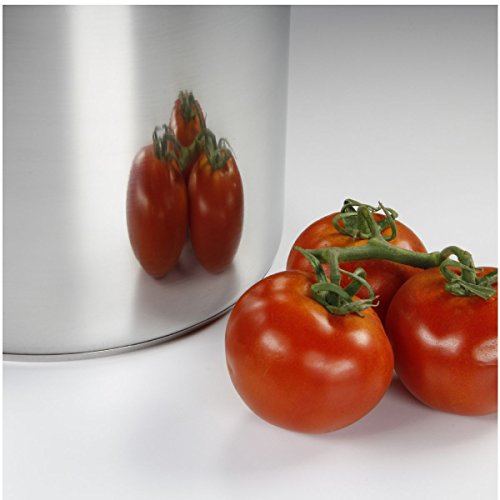 baumalu-lot-de-5-marmites-inox-avec-couvercles-verre-24-26-28-30-32-cm-tous-feux image 4