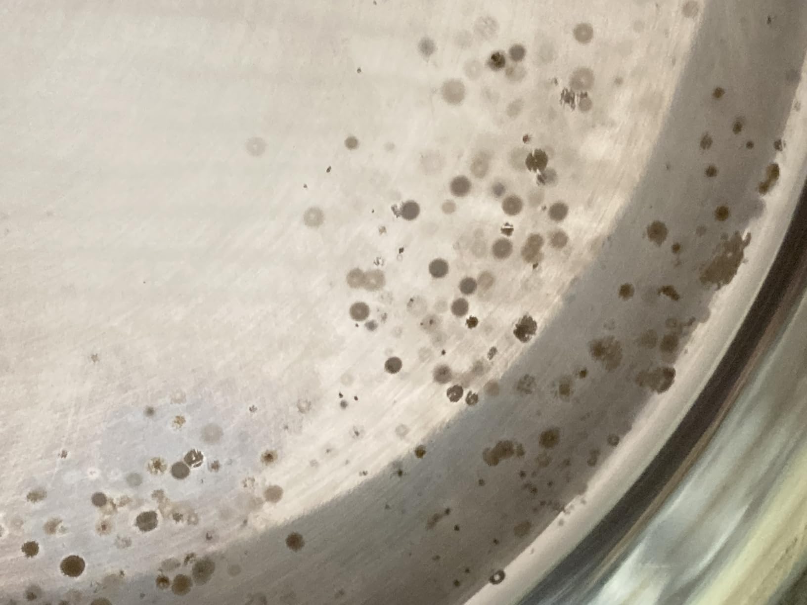 Très bon steamer